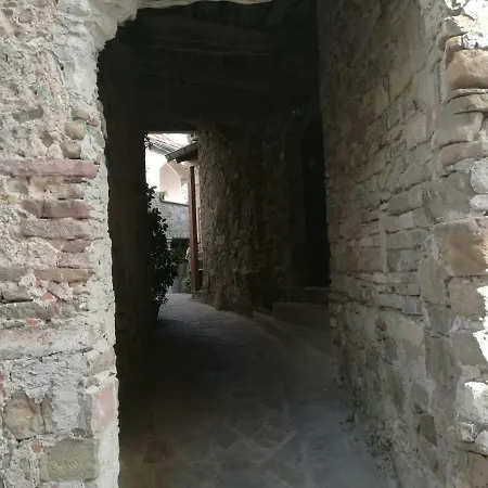 Splendore Con Cucina Bagno E Terrazzino 4posti Letto * Cannicchio